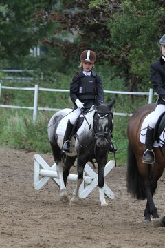 Bild 1119 - WBO-Turnier am 18.9.11